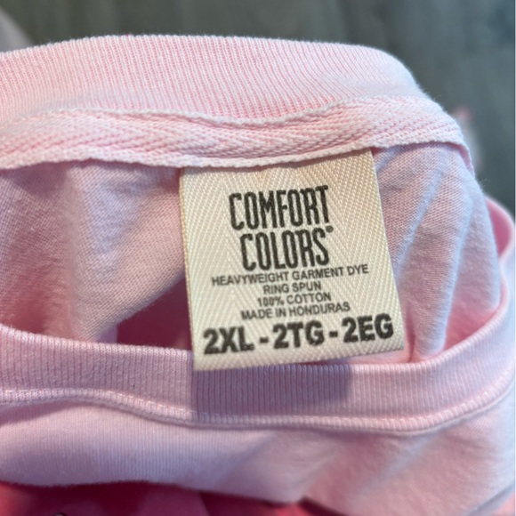 Disneyland Sign Embroidered Light Pink Comfort Colors T-Shirt 2XL - Picture 3 of 3